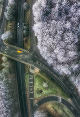 winter road Poster och Canvastavla