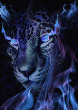 Mystical Tiger Darkness Poster och Canvastavla