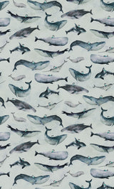 Hl008  Whale Boy   1806mm X 3000mm Poster och Canvastavla
