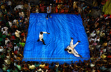 Amateur Wrestling Poster och Canvastavla