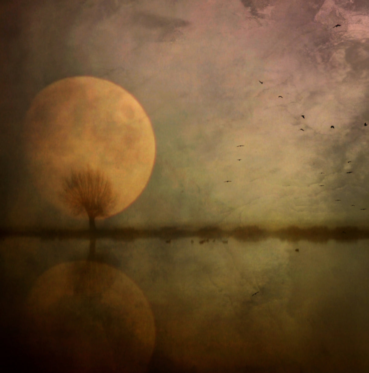 Autumn Thoughts ... Poster och Canvastavla