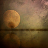 Autumn Thoughts ... Poster och Canvastavla