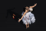 shadow dance Poster och Canvastavla