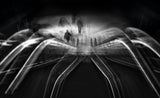 The Spider Poster och Canvastavla