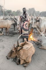 Mundari herder at dawn Poster och Canvastavla
