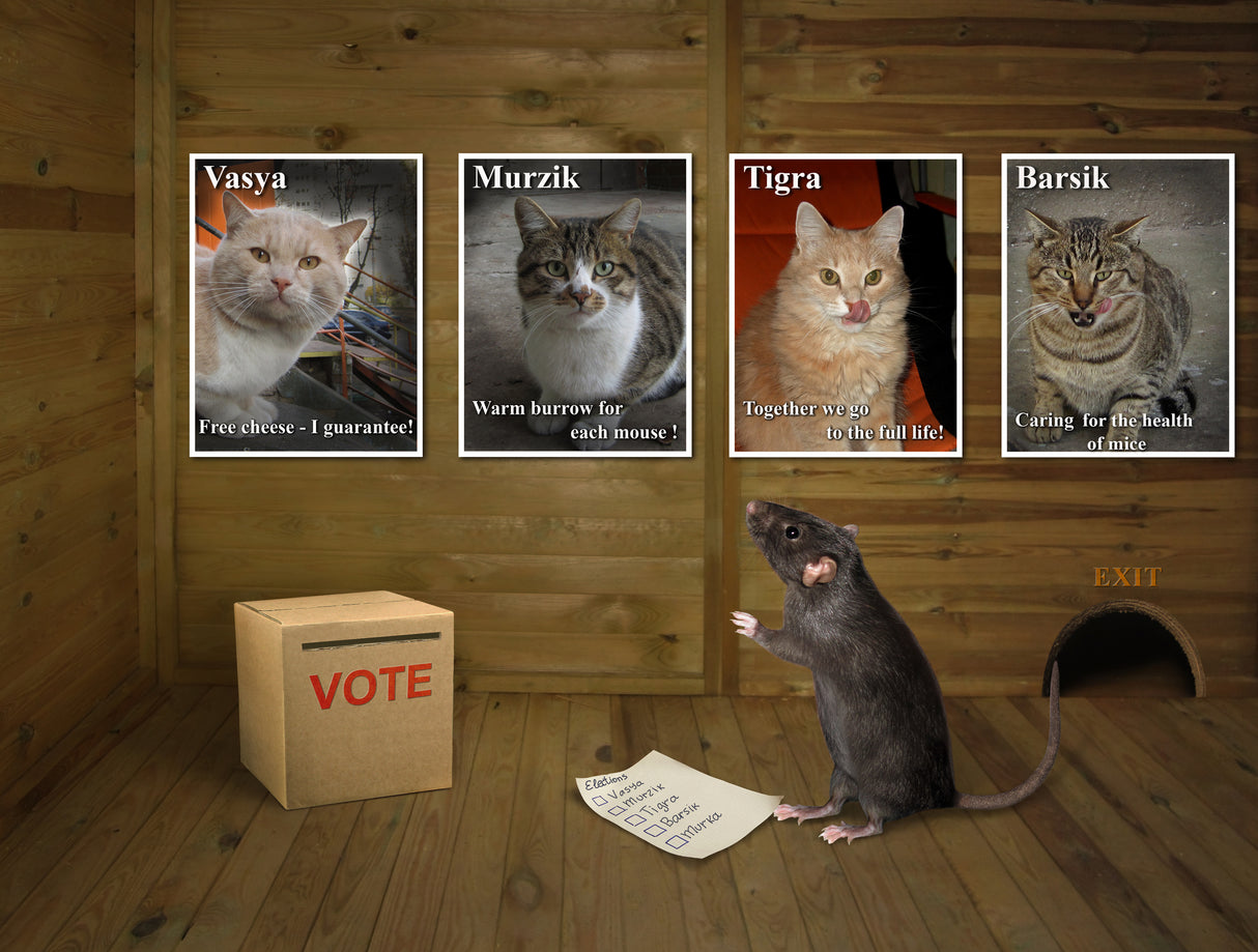 Difficult choice ... Poster och Canvastavla