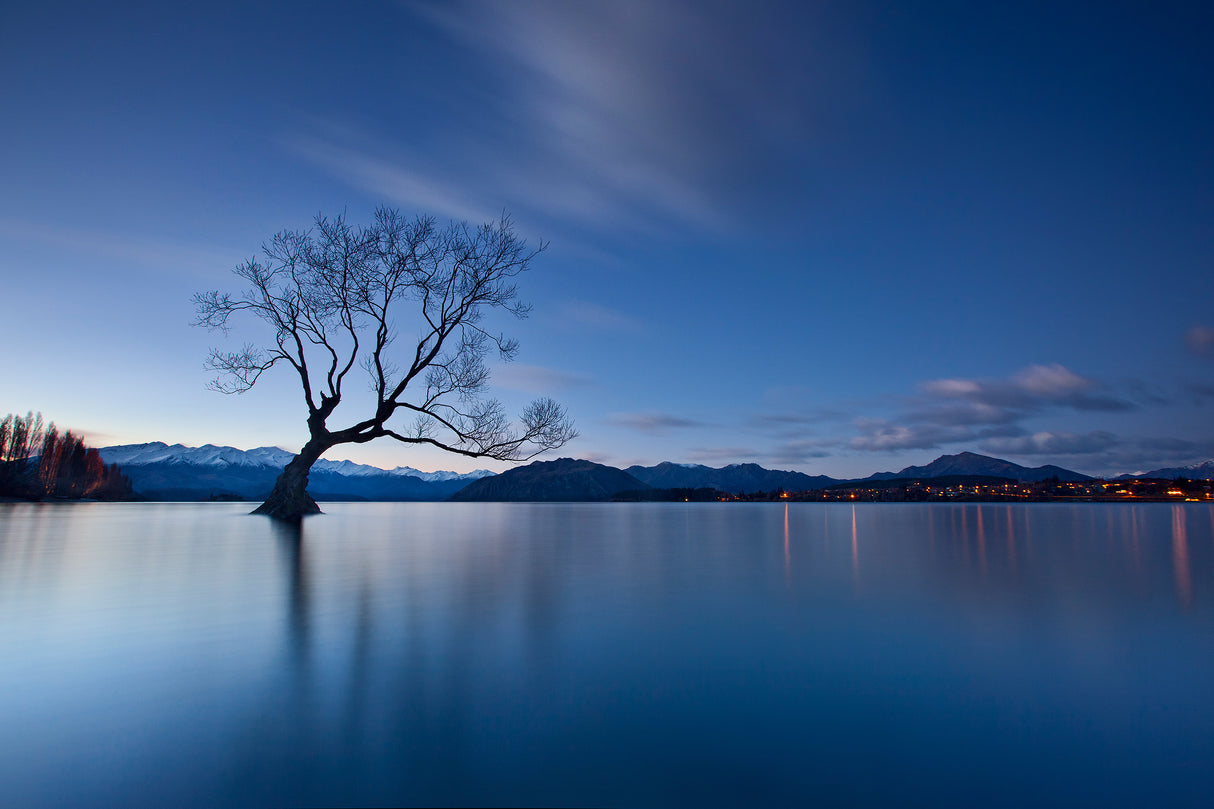 Wanaka Twilight Poster och Canvastavla