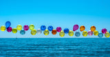 balloons... Poster och Canvastavla