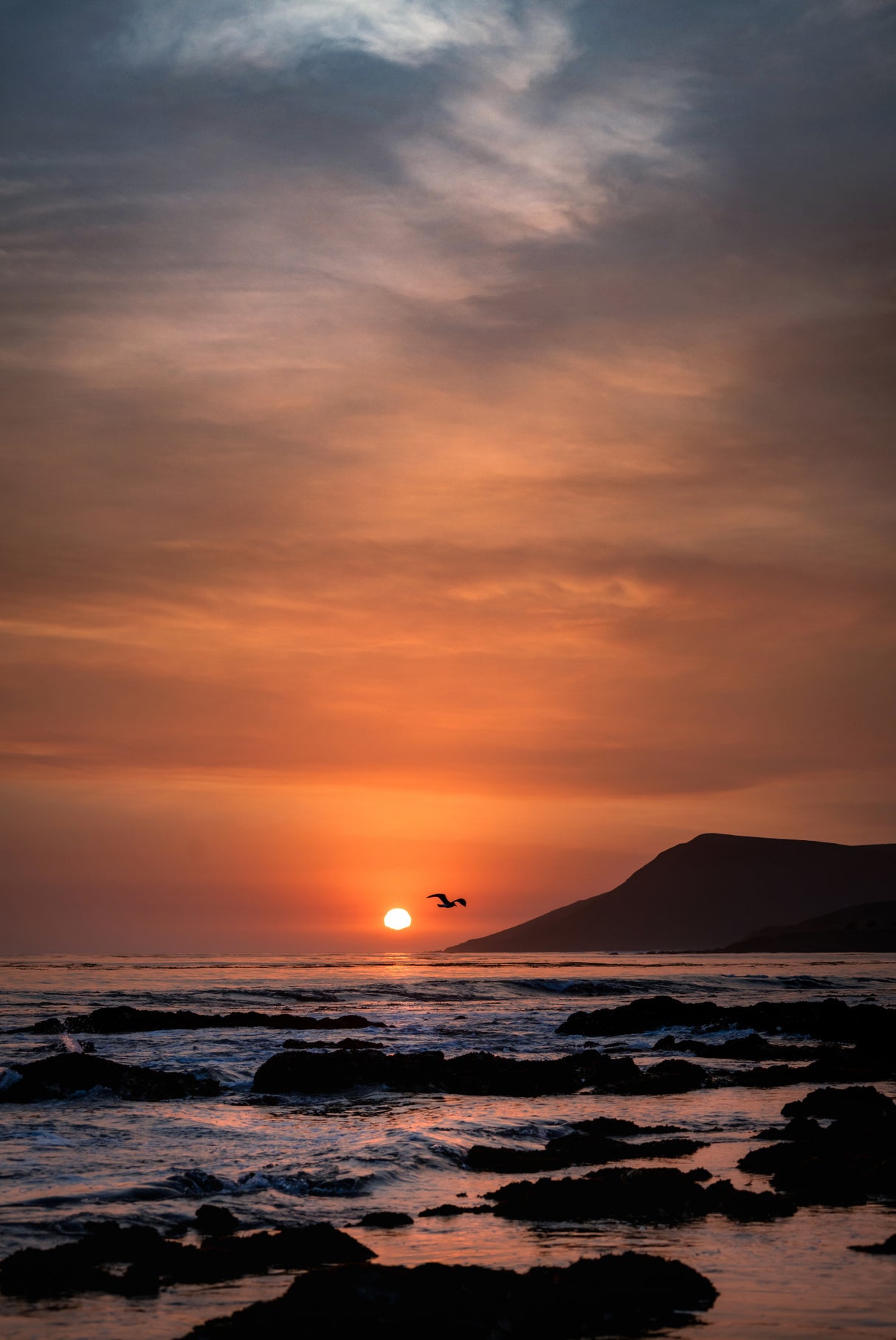 Orange Sunset Poster och Canvastavla
