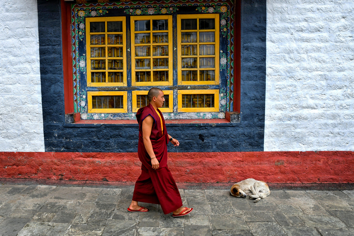 Monk in a monastery Poster och Canvastavla