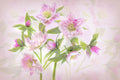 Spring Lenten Poster och Canvastavla