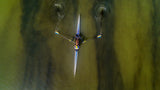 Rowing Poster och Canvastavla