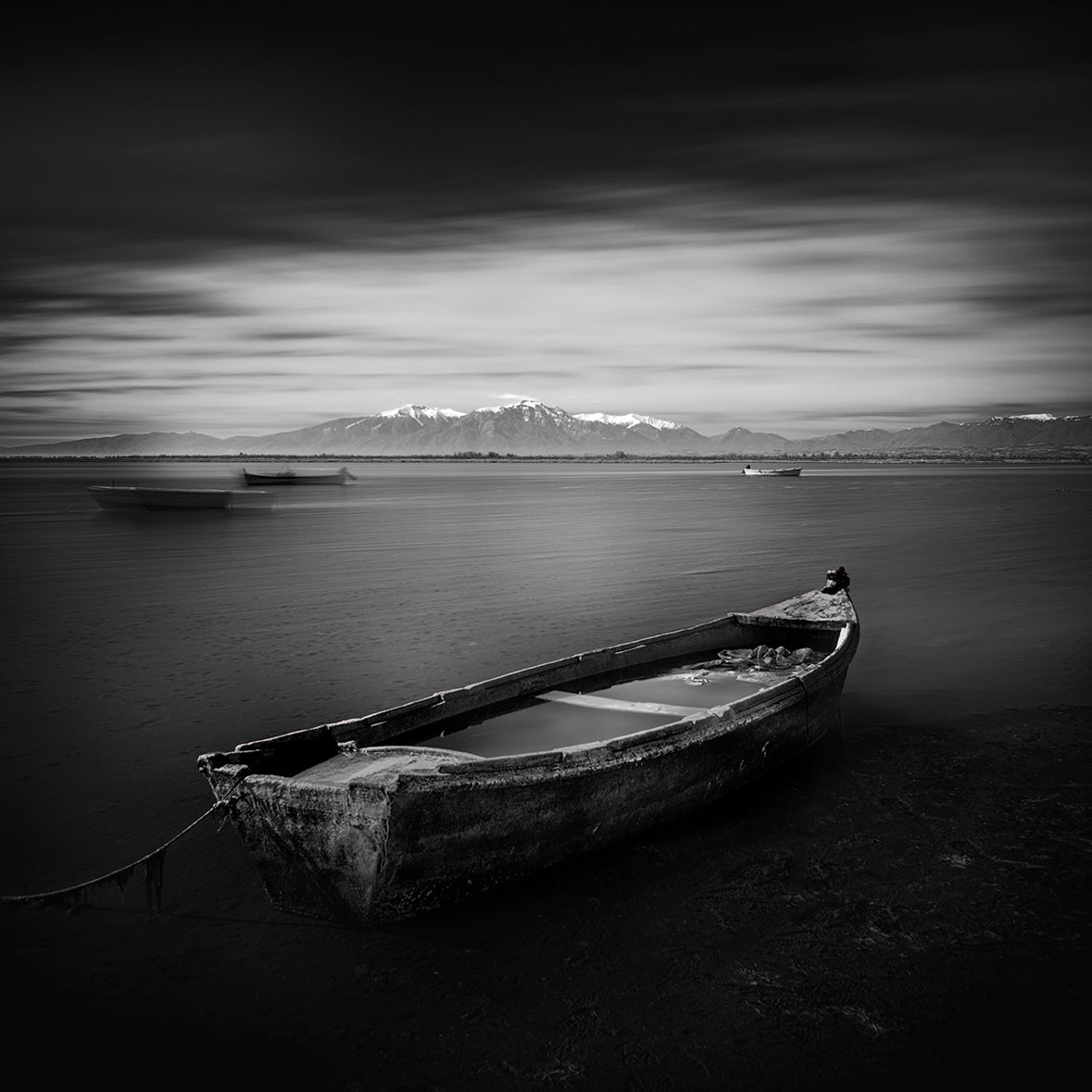The Boat Poster och Canvastavla