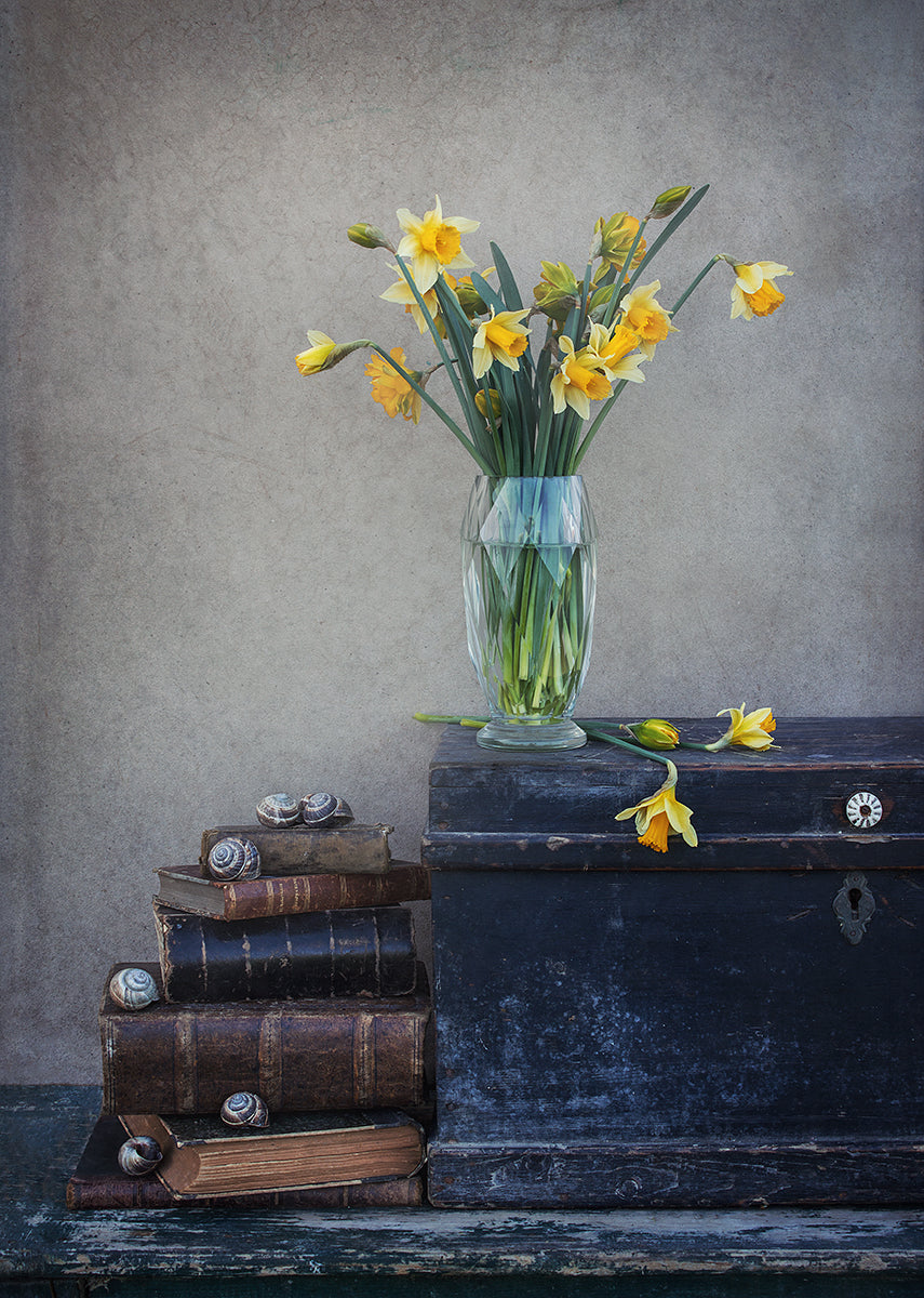 Spring feeling with daffodils... Poster och Canvastavla