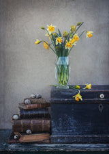 Spring feeling with daffodils... Poster och Canvastavla