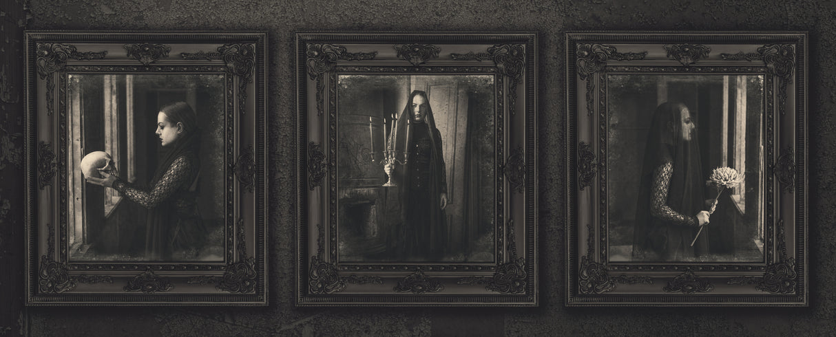 Dead Memories Poster och Canvastavla