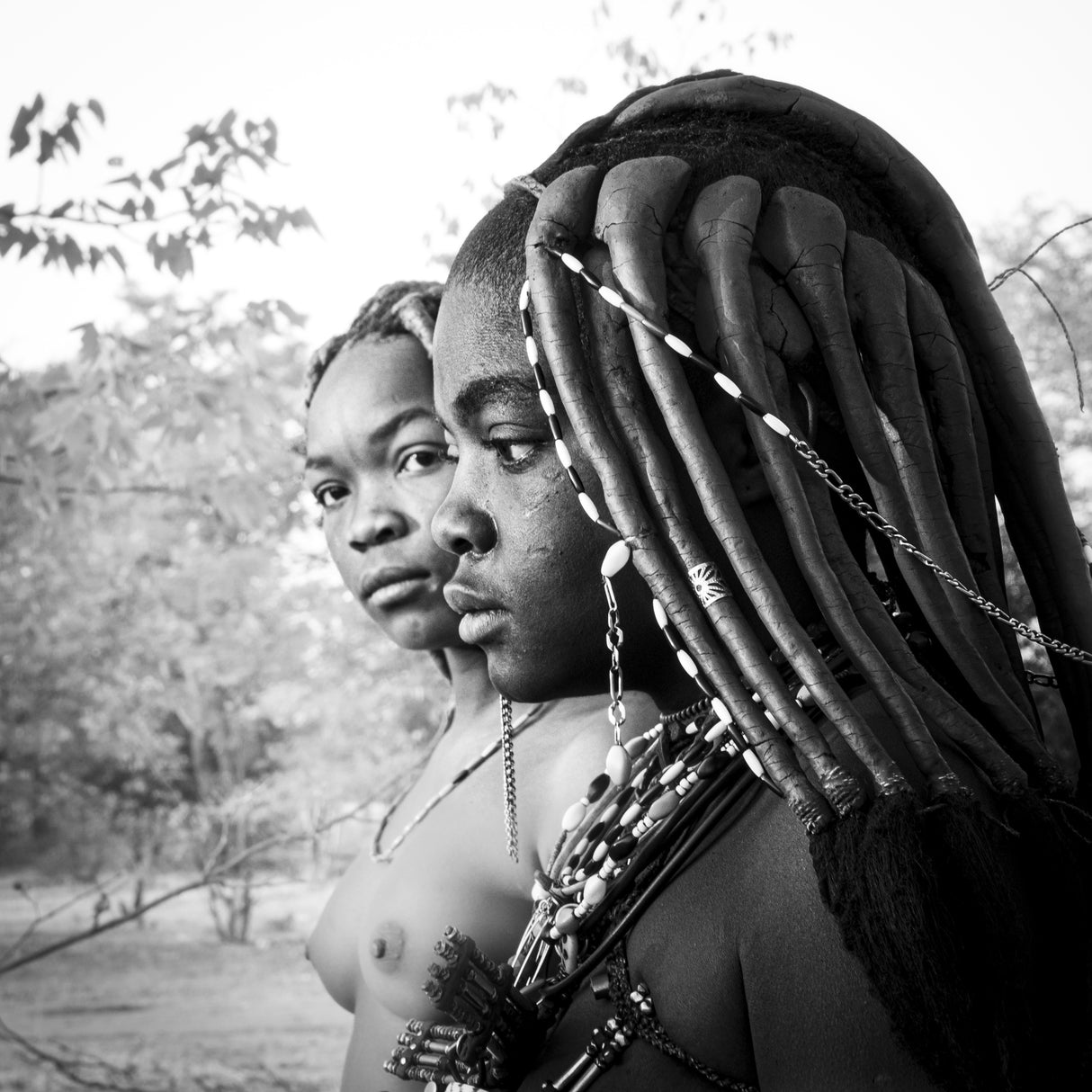 Himba girls, southern Angola Poster och Canvastavla