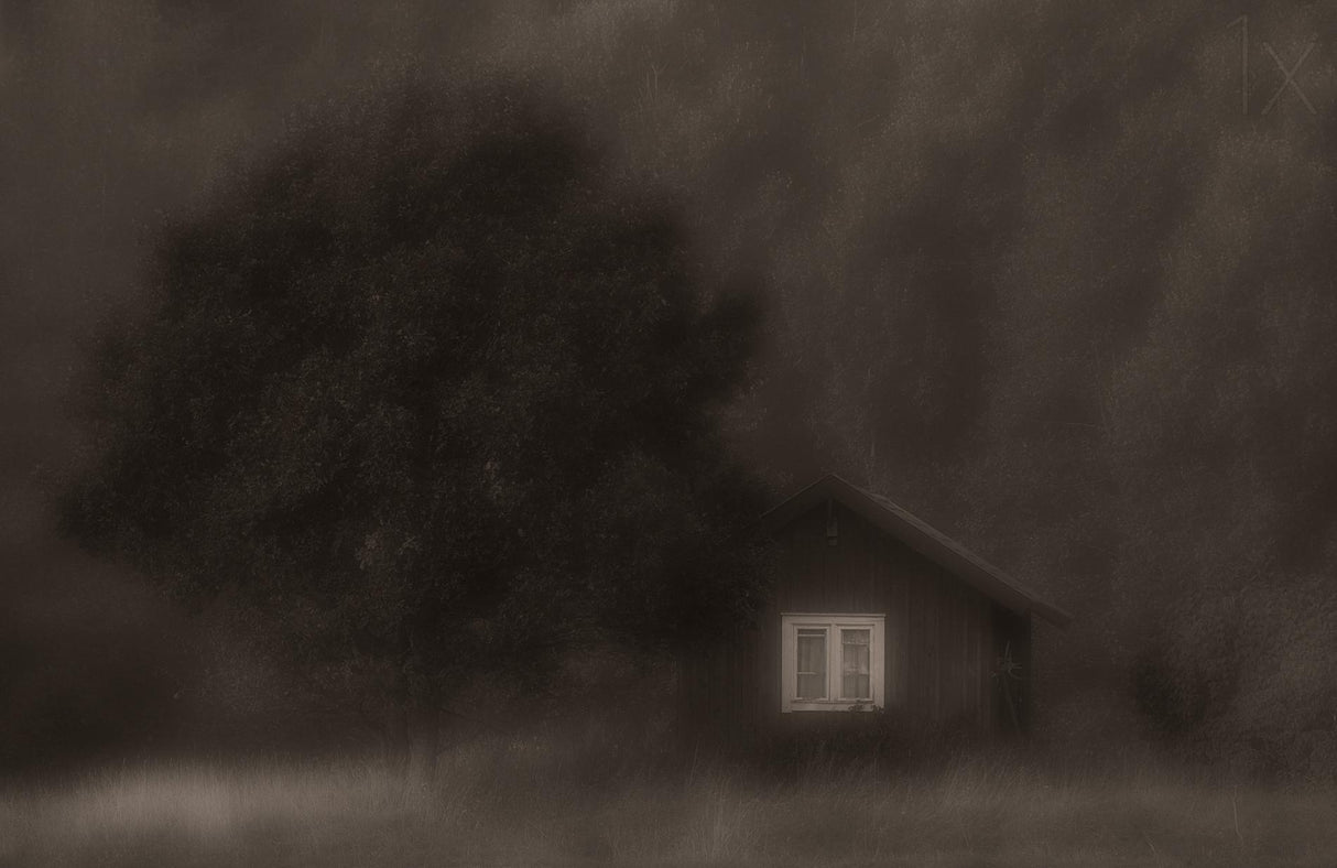 The little cottage in the woods Poster och Canvastavla