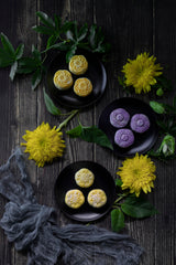 Snowy Mooncake and Sunflower Poster och Canvastavla