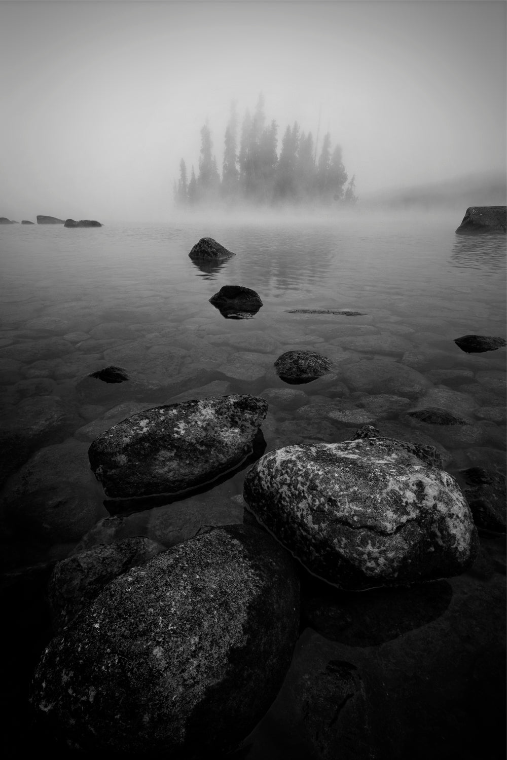 Foggy Morning Poster och Canvastavla