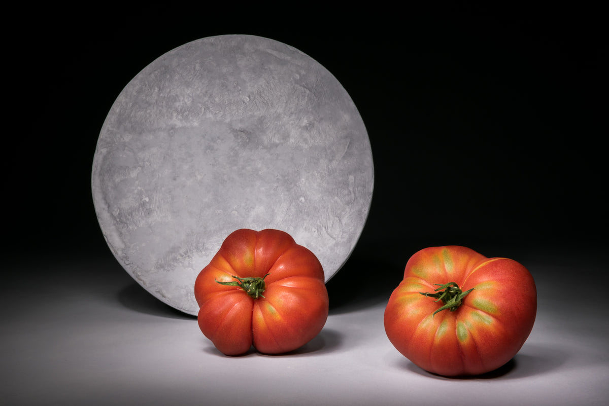 Full moon Poster och Canvastavla