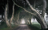 The King's Road Poster och Canvastavla