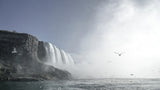 Immensity Poster och Canvastavla