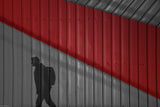 My shadow Poster och Canvastavla