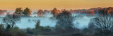 The Foggy Farm in Golden Light Poster och Canvastavla