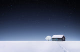 Winter Poster och Canvastavla
