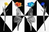 PopArt Tulips Poster och Canvastavla