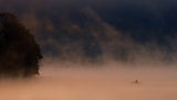 Misty Morning Poster och Canvastavla