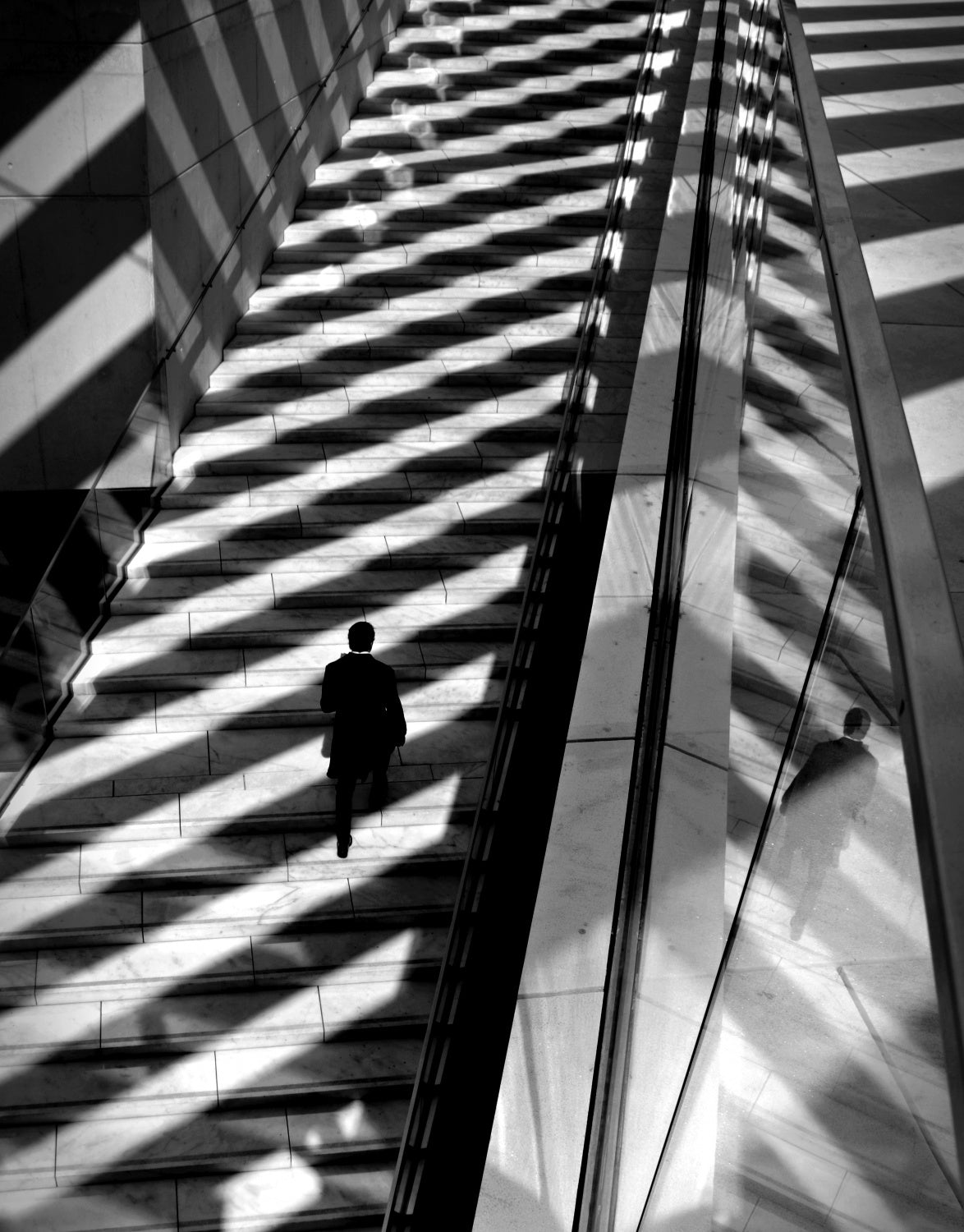 Walking light and shadows Poster och Canvastavla