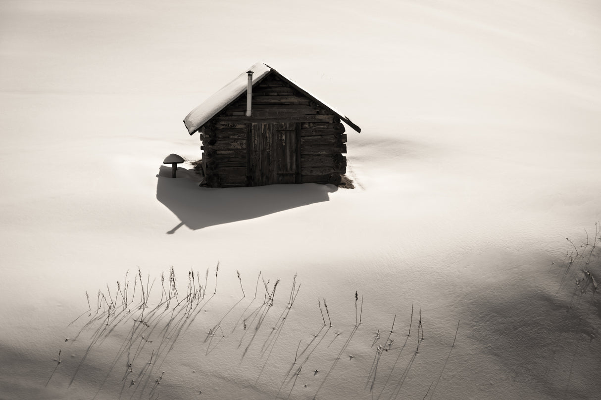 Hut with chimney Poster och Canvastavla