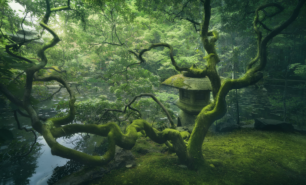 Japanese Tree Poster och Canvastavla