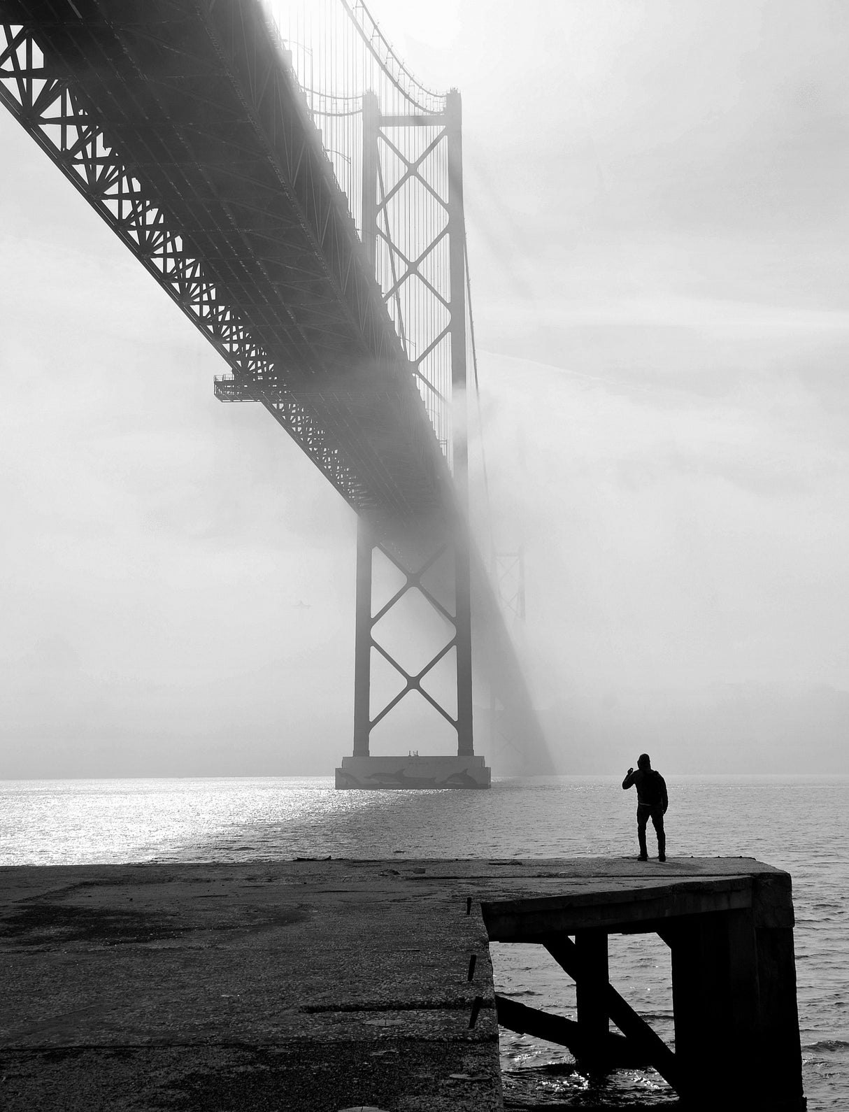Foggy morning Poster och Canvastavla