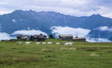 Life above the clouds Poster och Canvastavla