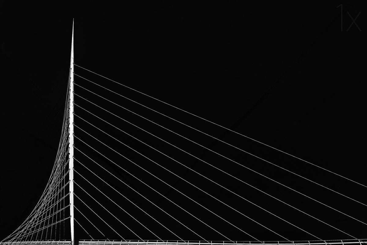 Calatrava's citer Poster och Canvastavla