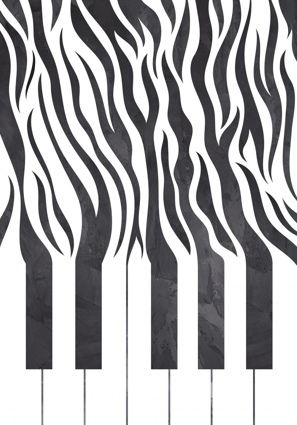 Zebra Piano Black and White Poster och Canvastavla