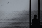 alone , in the sea Poster och Canvastavla