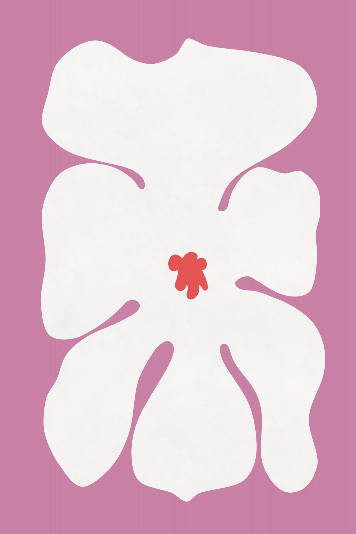 White Orchid Flower Poster och Canvastavla