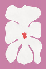 White Orchid Flower Poster och Canvastavla