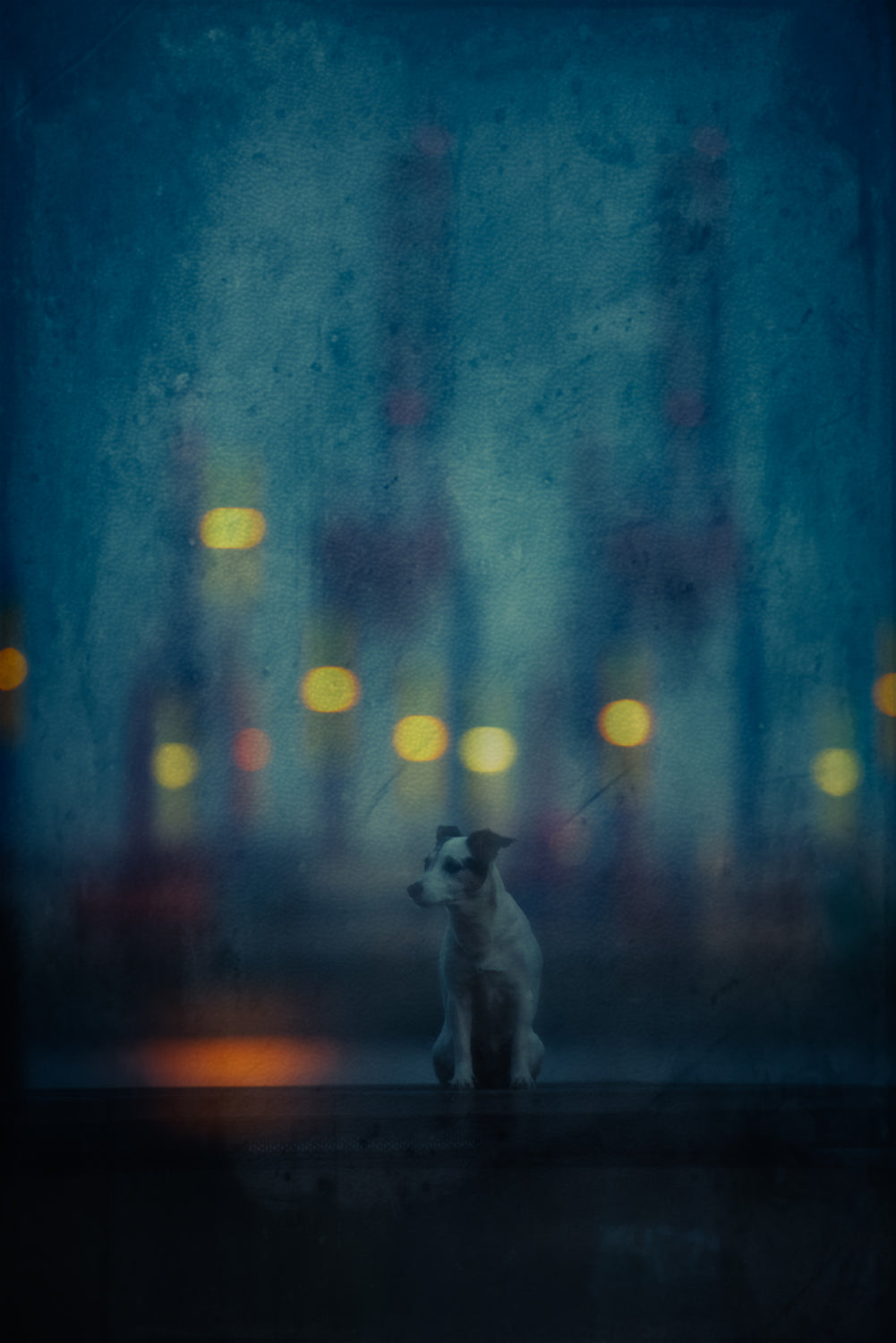 Hamburg never sleeps Poster och Canvastavla