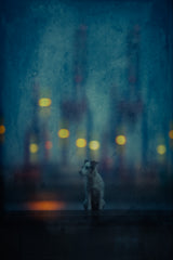 Hamburg never sleeps Poster och Canvastavla
