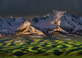 GrassRiver Sunrise Poster och Canvastavla