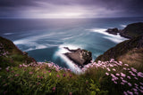 On the edge of the cliff Poster och Canvastavla