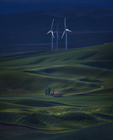 WindMills Poster och Canvastavla