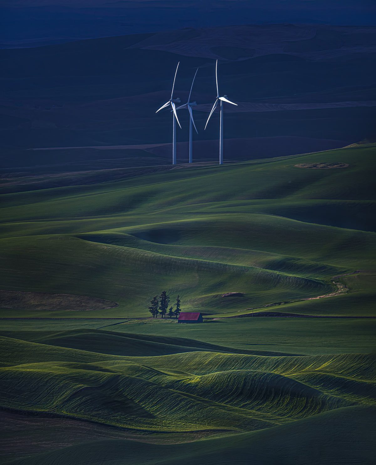 WindMills Poster och Canvastavla