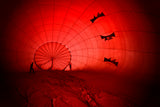 red balloon Poster och Canvastavla