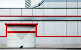 Parking&amp;Cat Poster och Canvastavla